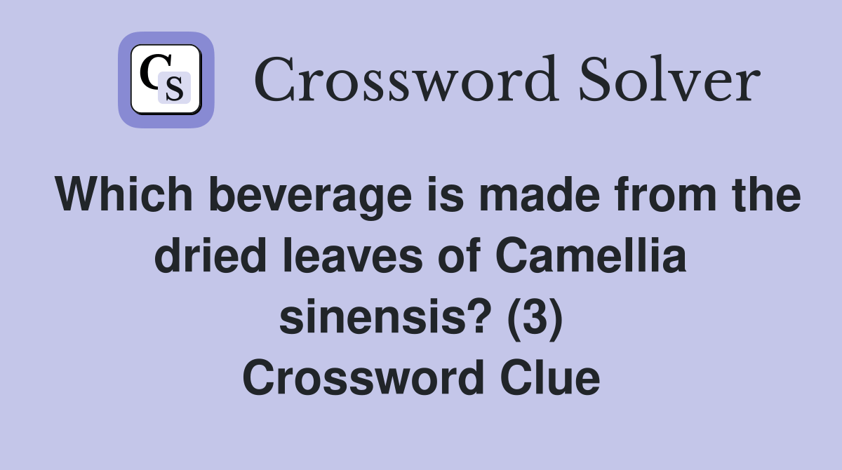 Which beverage is made from the dried leaves of Camellia sinensis? (3